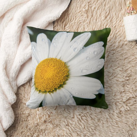 Coussin photo, une margueritte, font vert クッション (ブランケット)