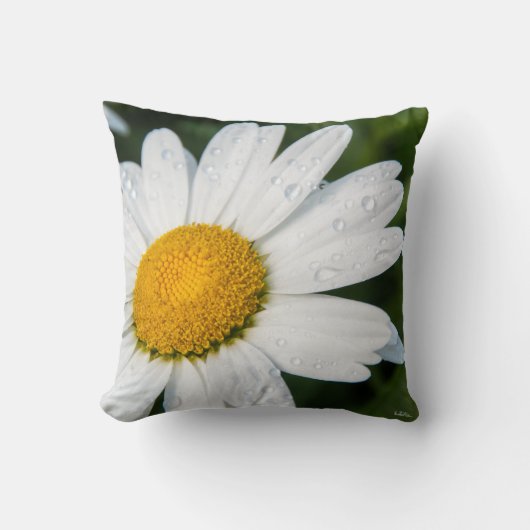 Coussin photo, une margueritte, font vert クッション (正面)