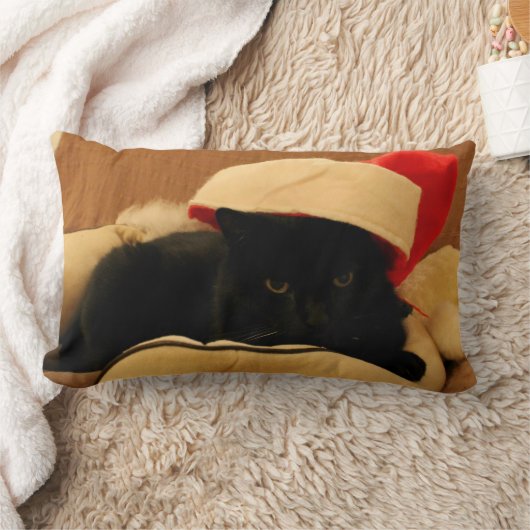 Coussin Sam le Chat édition Noël ランバークッション (ブランケット)