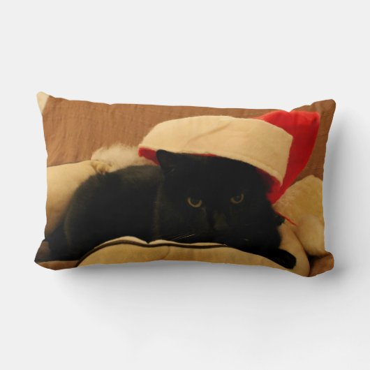 Coussin Sam le Chat édition Noël ランバークッション (裏面)