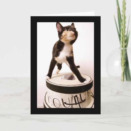 Couture Cat カード (正面)