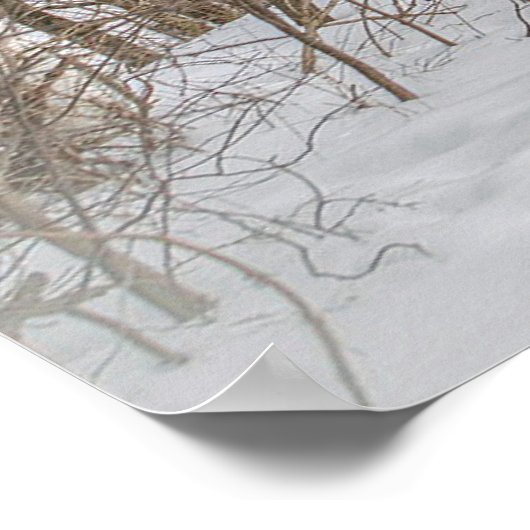 Covered Bridge Red Snow写真 ポスター (角)