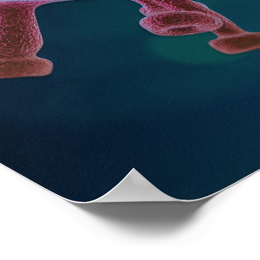 Covidウイルス生物学 ポスター (角)