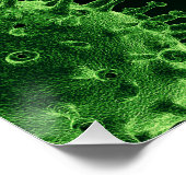 Covidウイルス病原体感染 ポスター (コーナー)