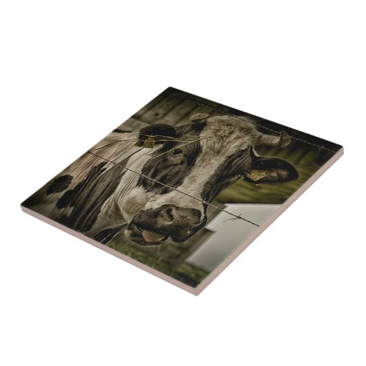 cow タイル (側面)