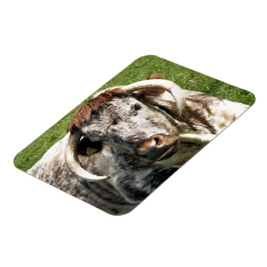 COW マグネット (左側)