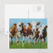 Cow#340 ポストカード (正面/裏面)