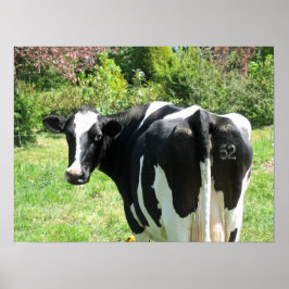 Cow 52があなたを見ている写真ポスターアート ポスター