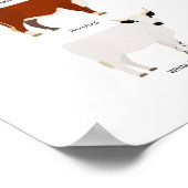 cow breeds poster ポスター (角)
