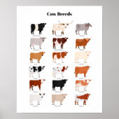 cow breeds poster ポスター (正面)