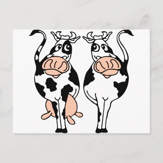 cow bull-2.png ポストカード (正面)