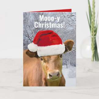 Cow in Santa Hat Mooo-y Christmas, Happy Moo Year シーズンカード
