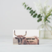  cow with horns country animal photograph  名刺 (スタンド正面)