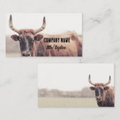  cow with horns country animal photograph  名刺 (正面/裏面)