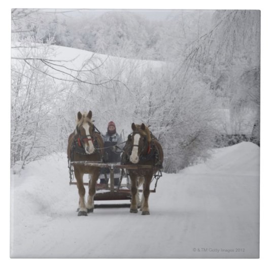 Cowansville、ケベック、カナダ タイル (正面)