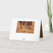 Cowboy and Horse Birthday Card カード (裏面)