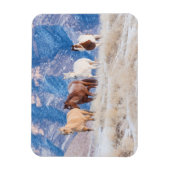 Cowboy Horse Drive on Hideout Ranch マグネット (縦)