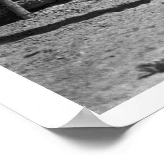 Cowboy roping ポスター (角)