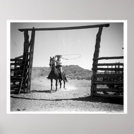 Cowboy roping ポスター (正面)