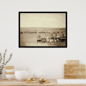 Cowboy Round-Up at Belle Fouche SD 1887 ポスター (キッチン)