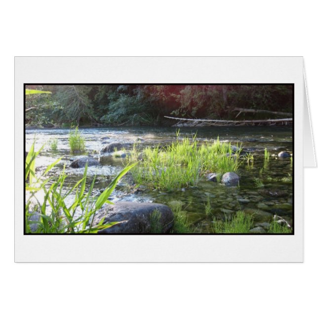 Cowichanの川の朝ライト (正面横)