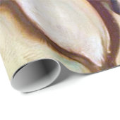 Cowrieの貝 ラッピングペーパー (ロールコーナー)