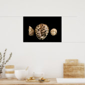 Cowrieコーン2ポスター ポスター (キッチン)