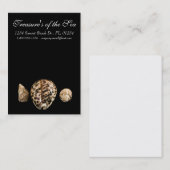 Cowrieコーン2名刺 名刺 (正面/裏面)