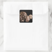 Cowrie Conesステッカー スクエアシール (バッグ)