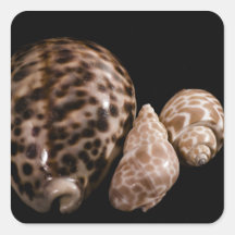 Cowrie Conesステッカー