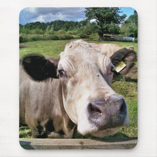 COWS マウスパッド (正面)