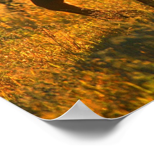 Cows at pasture 2 ポスター (角)