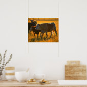 Cows at pasture 2 ポスター (キッチン)