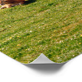 Cows by the Lakes of Covadonga, Asturias travel ポスター (角)