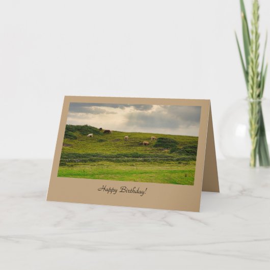 Cows in Pasture Birthday Greeting Card  カード (正面)