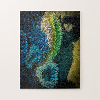 Cox Bay, Tofino, BC （カナダ） ジグソーパズル