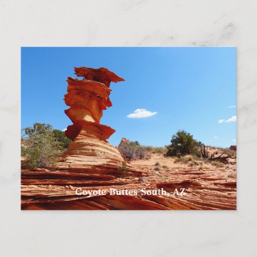 Coyote Buttes South, AZアリゾナ州，岩盤 ポストカード (正面)