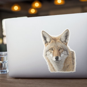 Coyote Head Animal Portrait シール