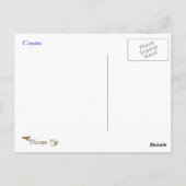 Coyote Wildlifeシリーズ# 6はがき ポストカード (裏面)