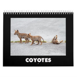 Coyotes Calendar カレンダー