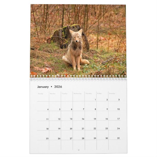 Coyotes Calendar カレンダー (1月 2026)