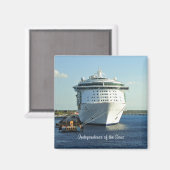 Cozumelでの独立 マグネット (正面/裏面)