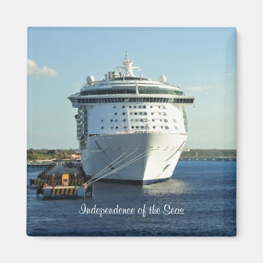 Cozumelでの独立 マグネット (正面)