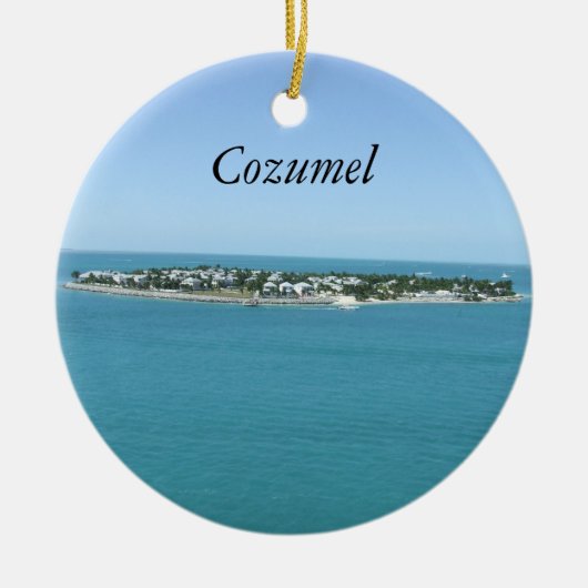 Cozumelの青海原熱帯Ornamement セラミックオーナメント (正面)