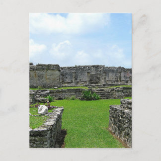 Cozumelメキシコ ポストカード