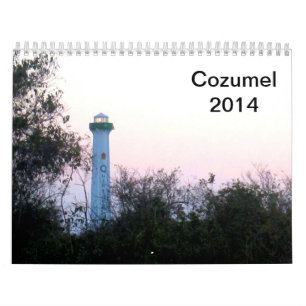 Cozumel水中2014年 カレンダー