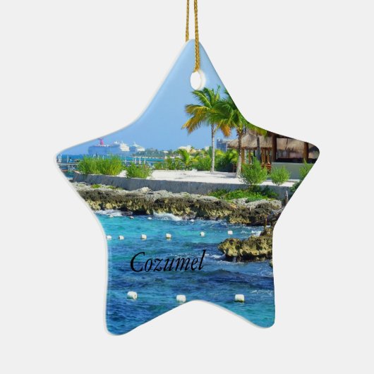 Cozumel Chankanaab公園旅行クリスマスのオーナメント セラミックオーナメント (右)