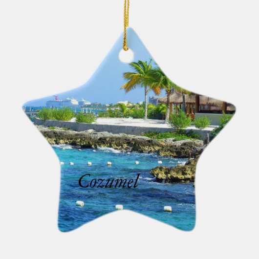 Cozumel Chankanaab公園旅行クリスマスのオーナメント セラミックオーナメント (正面)