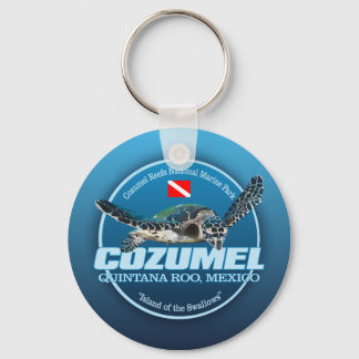 Cozumel (DD2) キーホルダー