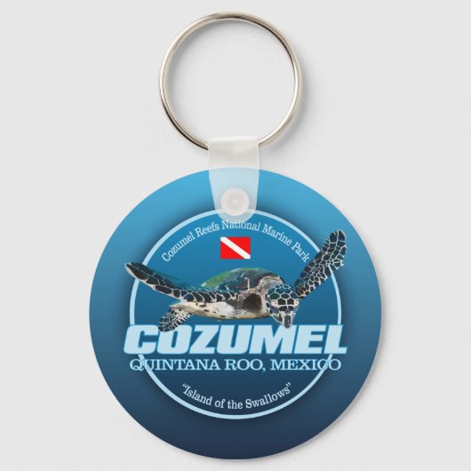 Cozumel (DD2) キーホルダー (正面)